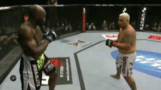 UFC-144-Hung-finishes-Kongo